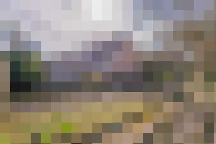 Vechtvliet 4 Dalfsen thumbnail 38
