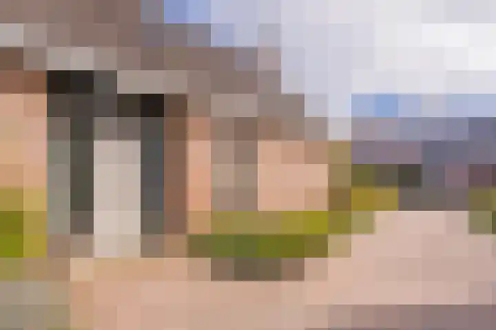 Vechtvliet 4 Dalfsen thumbnail 4