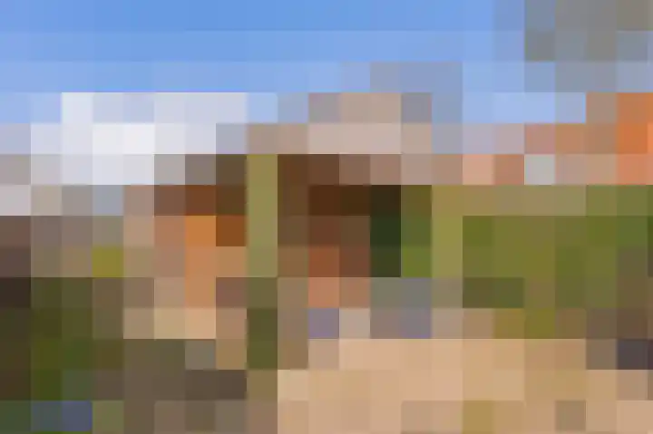 Vechtvliet 4 Dalfsen thumbnail 40