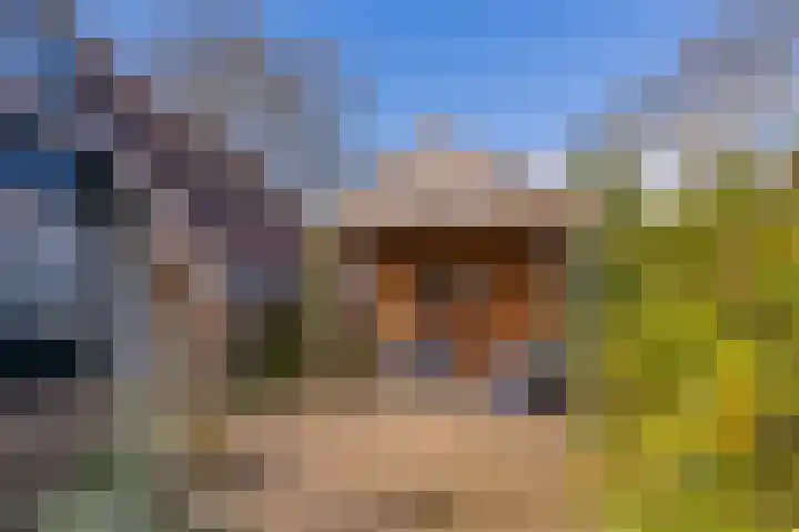 Vechtvliet 4 Dalfsen thumbnail 41
