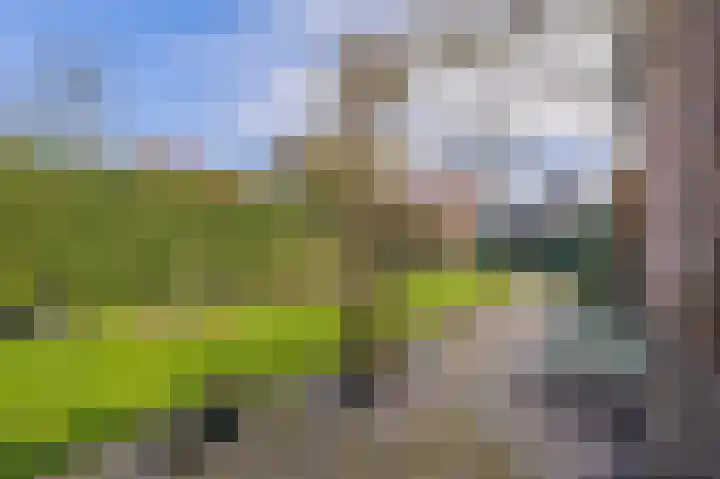 Vechtvliet 4 Dalfsen thumbnail 42