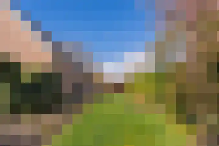Vechtvliet 4 Dalfsen thumbnail 43