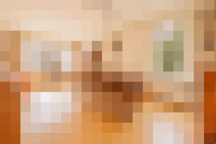 Vechtvliet 4 Dalfsen thumbnail 6