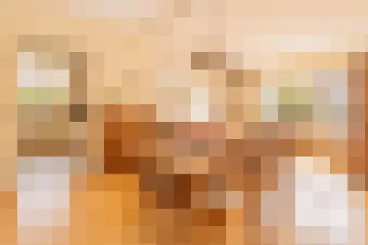 Vechtvliet 4 Dalfsen thumbnail 7