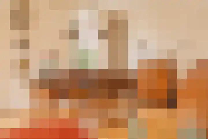 Vechtvliet 4 Dalfsen thumbnail 8