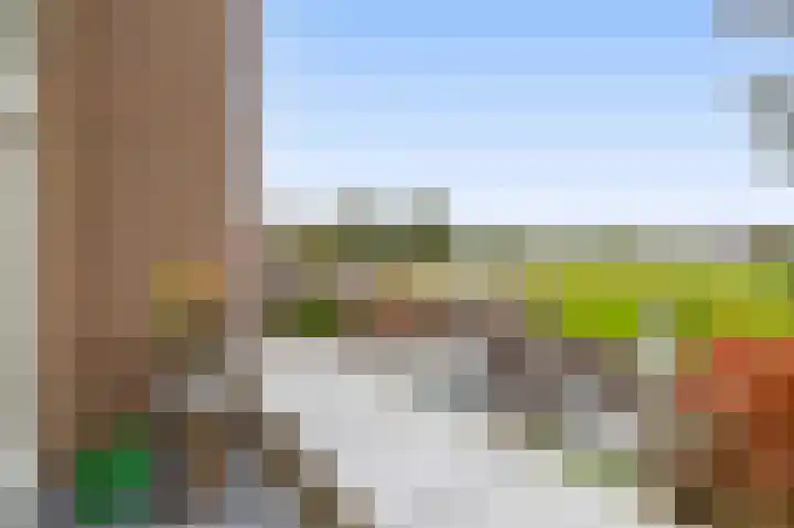Veckdijk 10 Vierpolders thumbnail 15