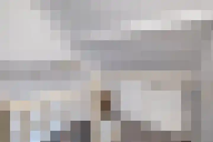 Veckdijk 10 Vierpolders thumbnail 32