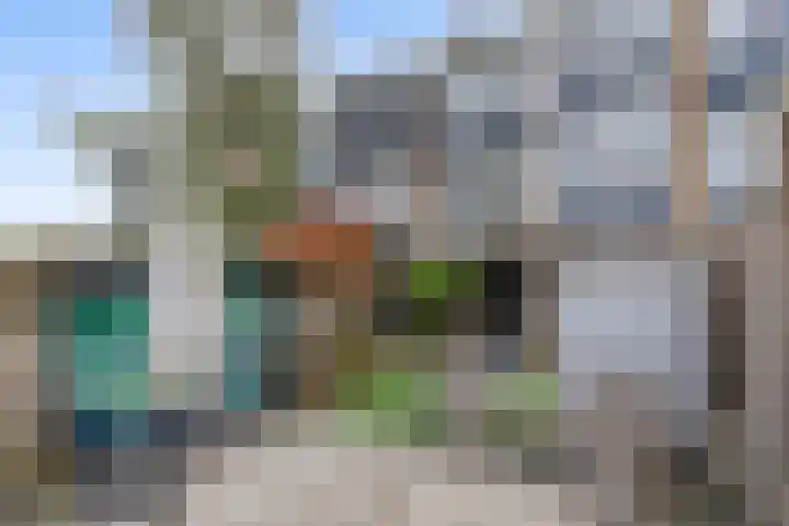 Veckdijk 10 Vierpolders thumbnail 35