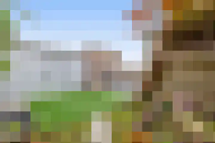 Veckdijk 10 Vierpolders thumbnail 36