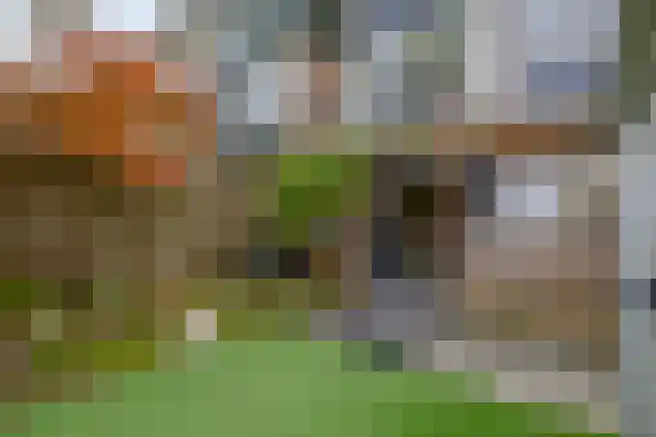 Veckdijk 10 Vierpolders thumbnail 37