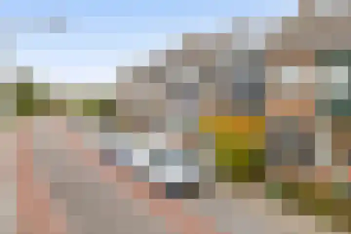 Veckdijk 10 Vierpolders thumbnail 38
