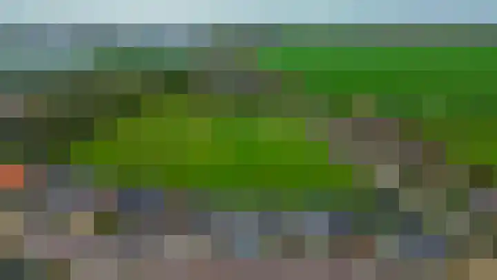 Veckdijk 10 Vierpolders thumbnail 4