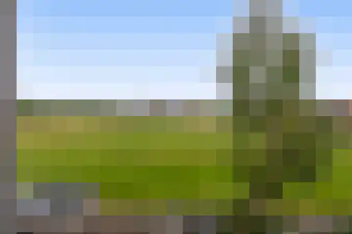 Veckdijk 10 Vierpolders thumbnail 40