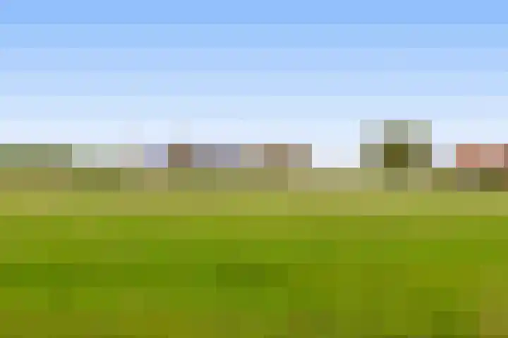 Veckdijk 10 Vierpolders thumbnail 41