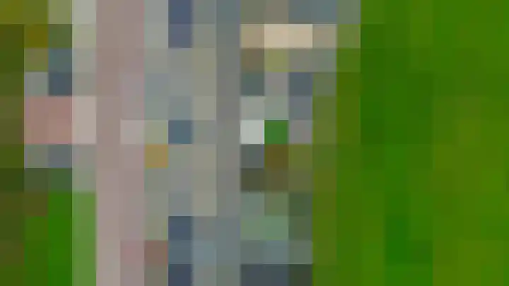 Veckdijk 10 Vierpolders thumbnail 48