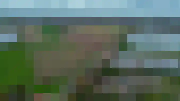 Veckdijk 10 Vierpolders thumbnail 49