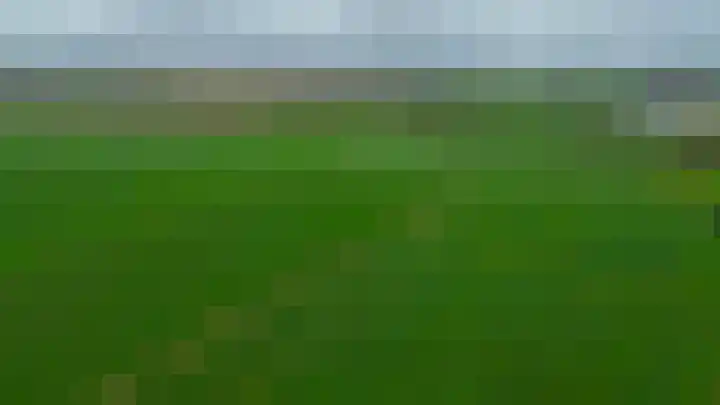 Veckdijk 10 Vierpolders thumbnail 51