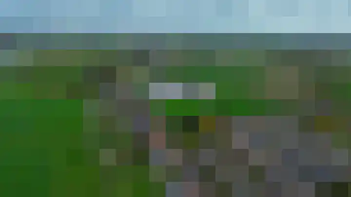 Veckdijk 10 Vierpolders thumbnail 52