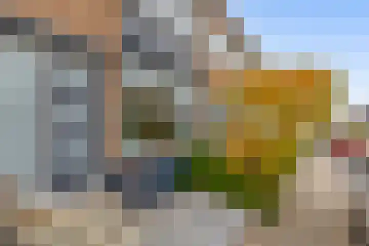 Veckdijk 10 Vierpolders thumbnail 6