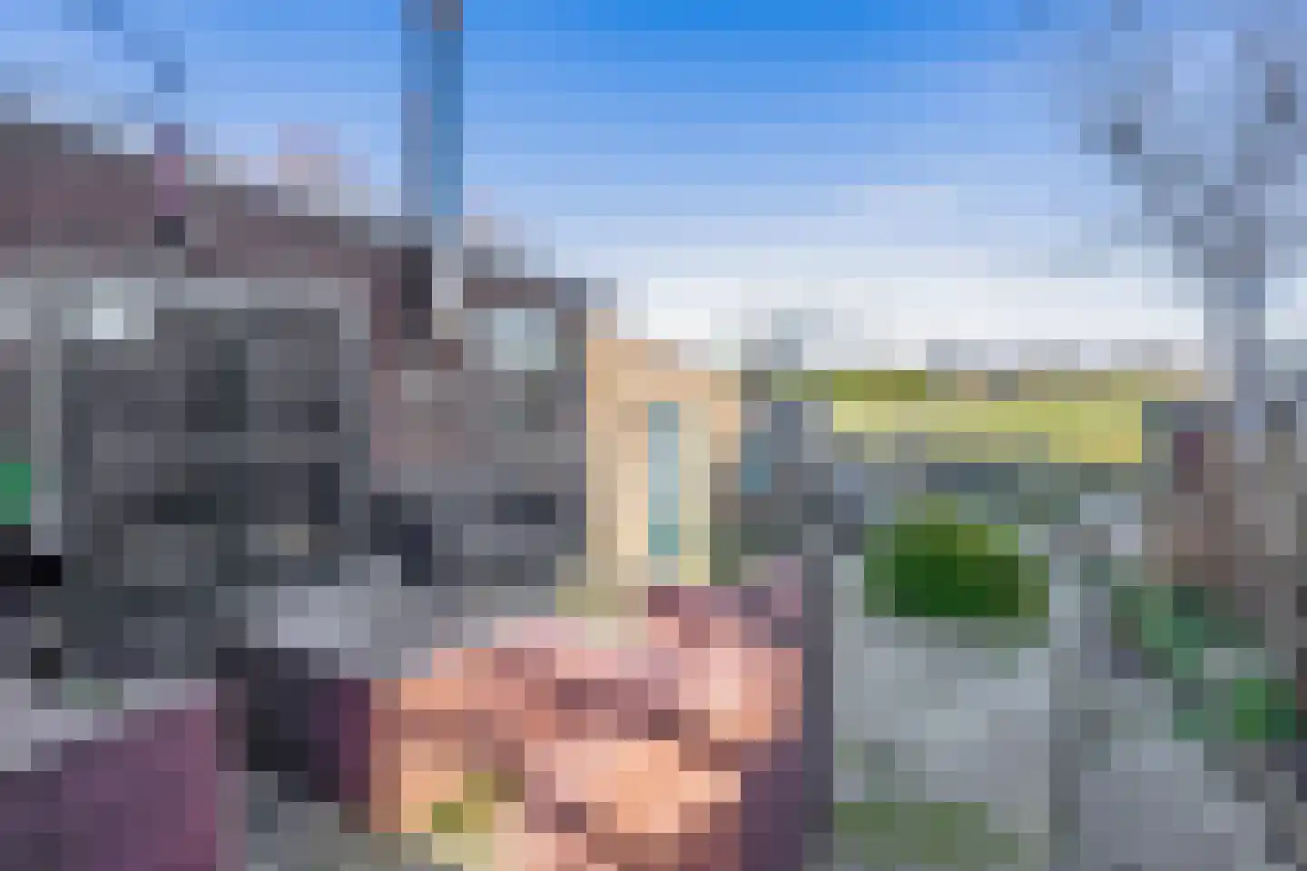 Veckdijk 28 Vierpolders thumbnail 30