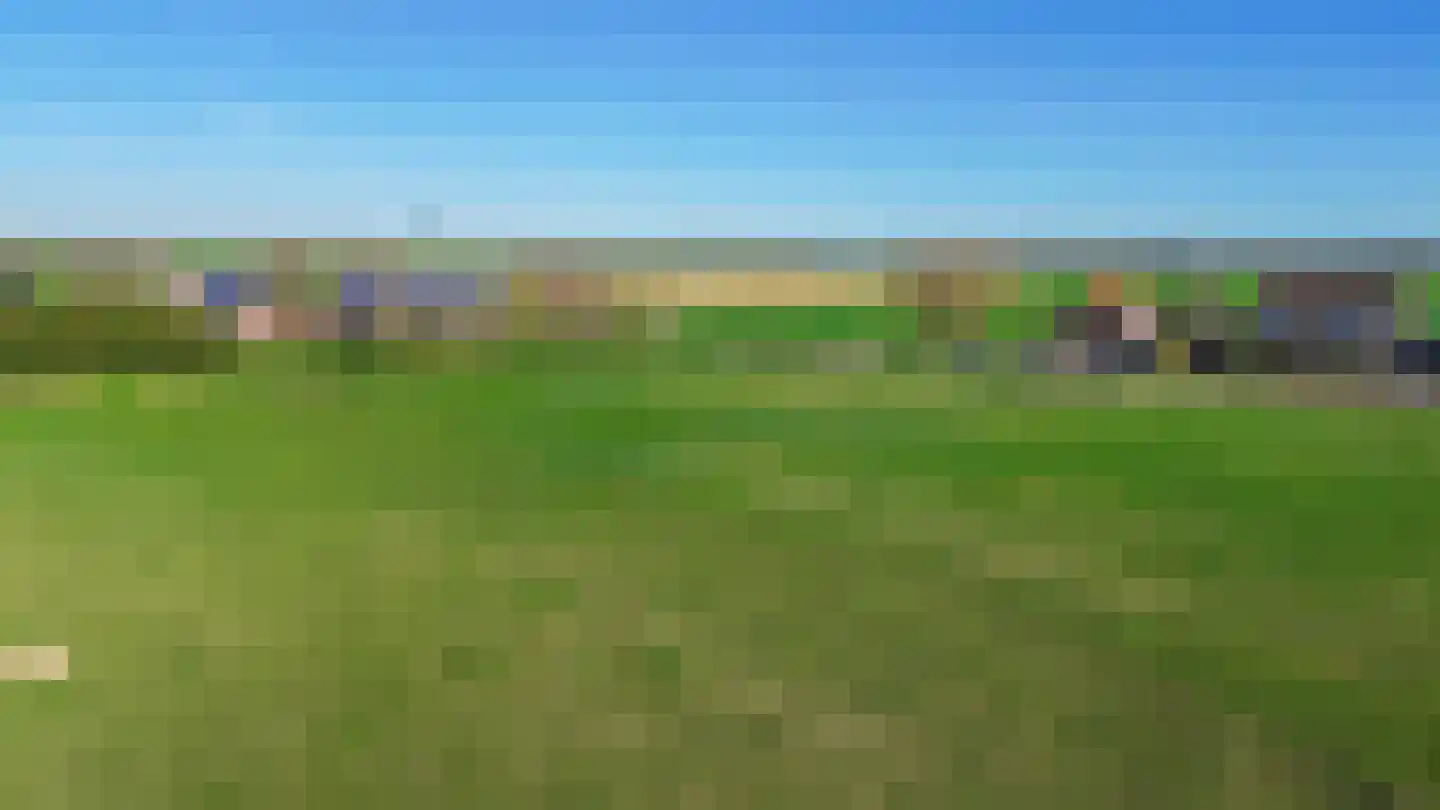 Veckdijk 28 Vierpolders thumbnail 35