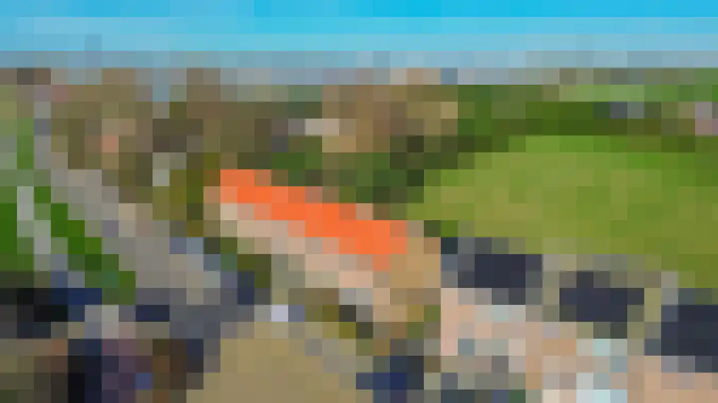 Veckdijk 28 Vierpolders thumbnail 36