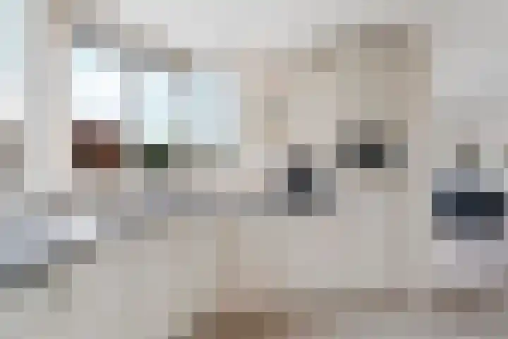 Vedel 1 Zevenaar thumbnail 10