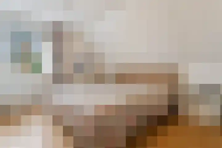 Vedel 1 Zevenaar thumbnail 13