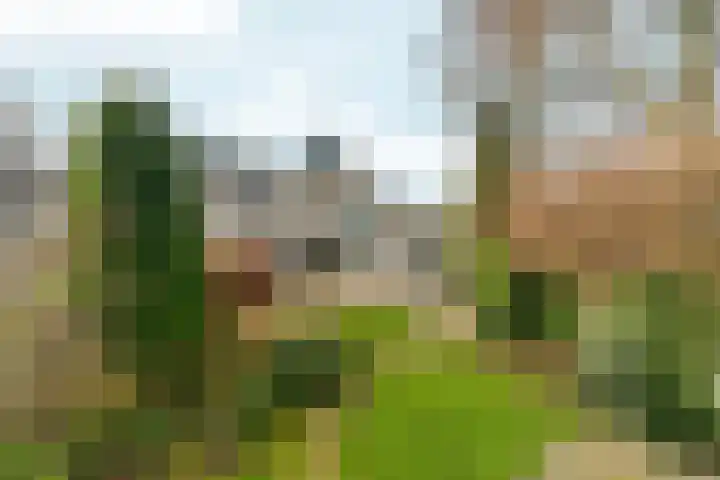 Vedel 1 Zevenaar foto 2