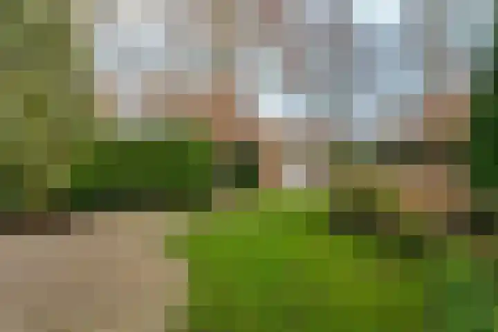 Vedel 1 Zevenaar foto 3