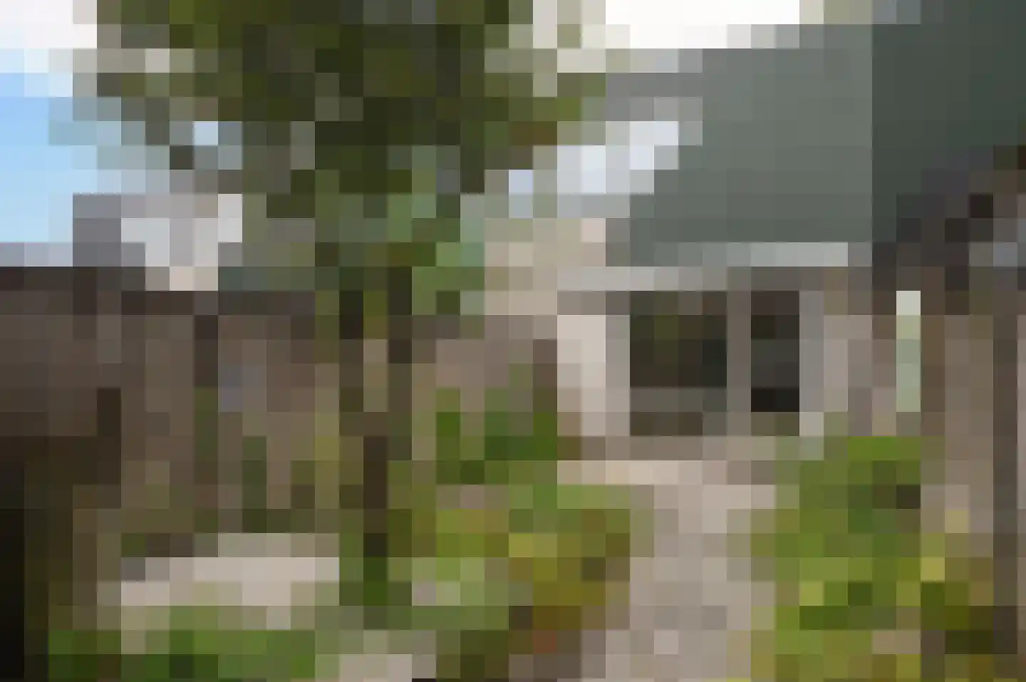 Vedelaarpad 8 Soest thumbnail 15