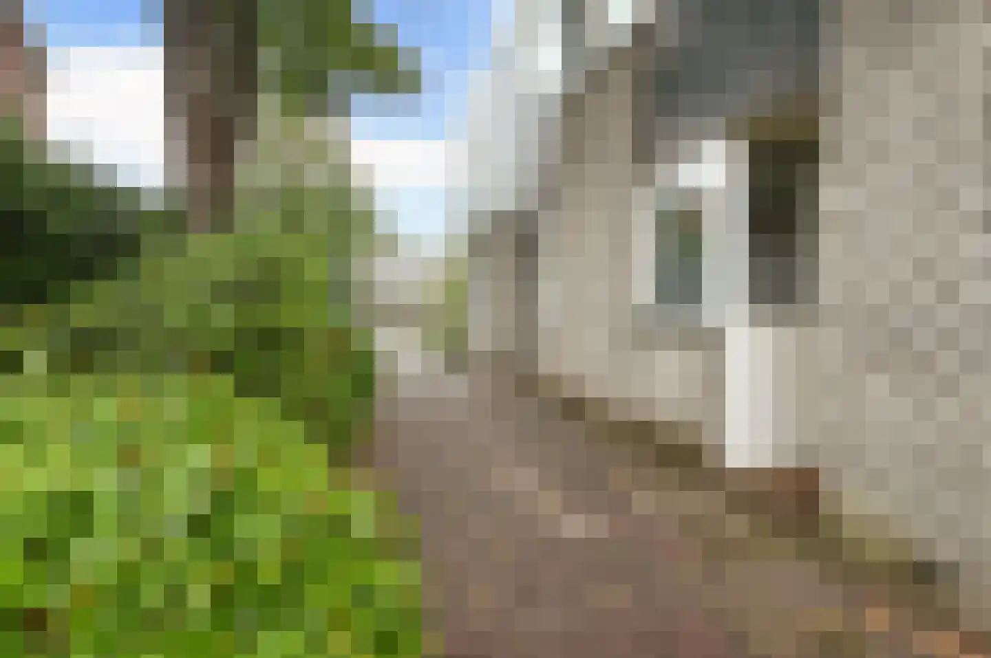 Vedelaarpad 8 Soest thumbnail 4