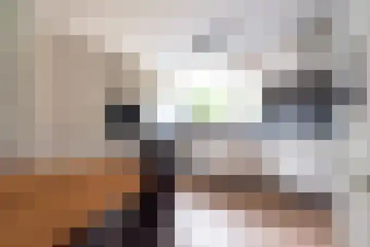Vedelaarshoeve 410 Apeldoorn thumbnail 15