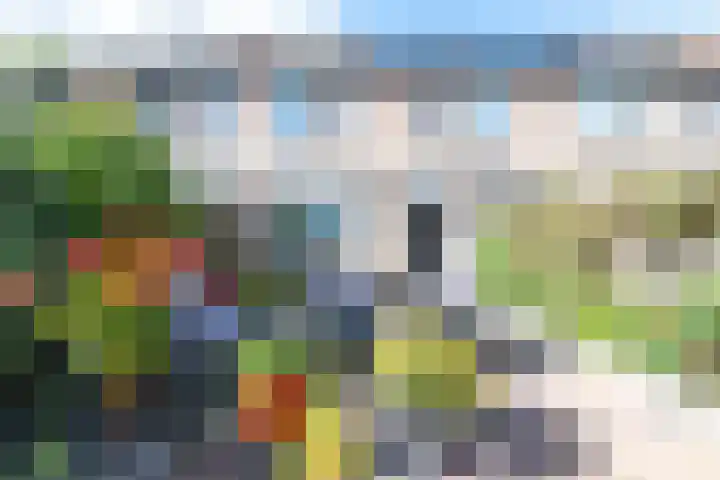 Vedelaarshoeve 410 Apeldoorn thumbnail 17