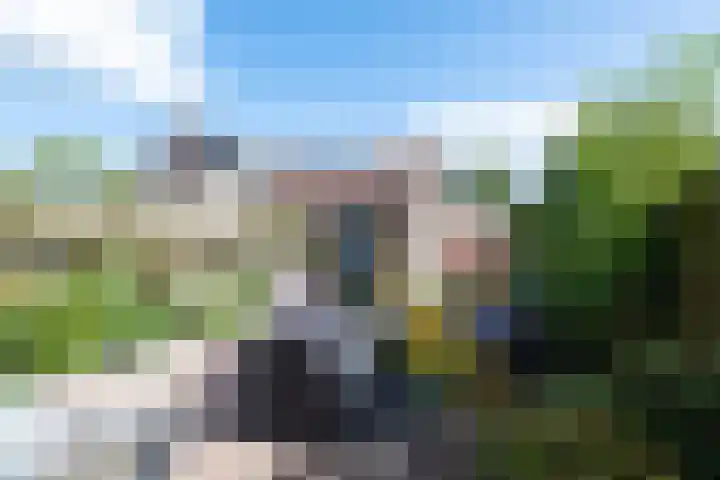 Vedelaarshoeve 410 Apeldoorn thumbnail 19