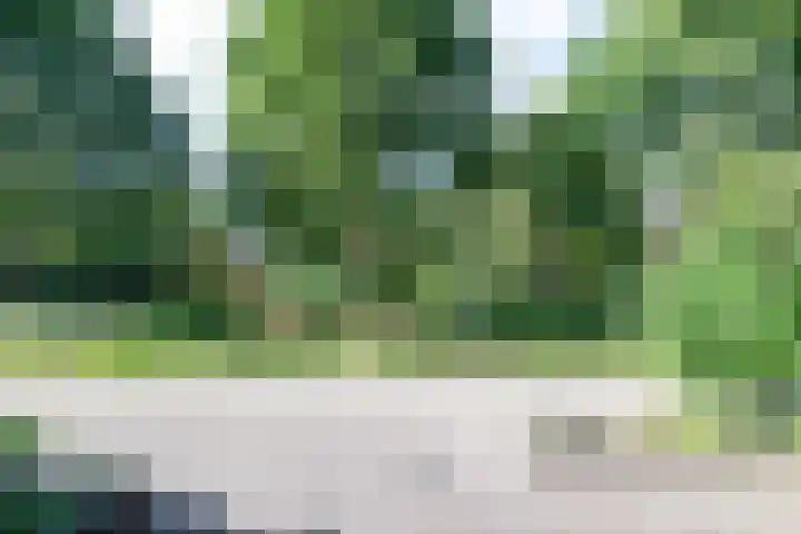 Vedelaarshoeve 410 Apeldoorn thumbnail 5