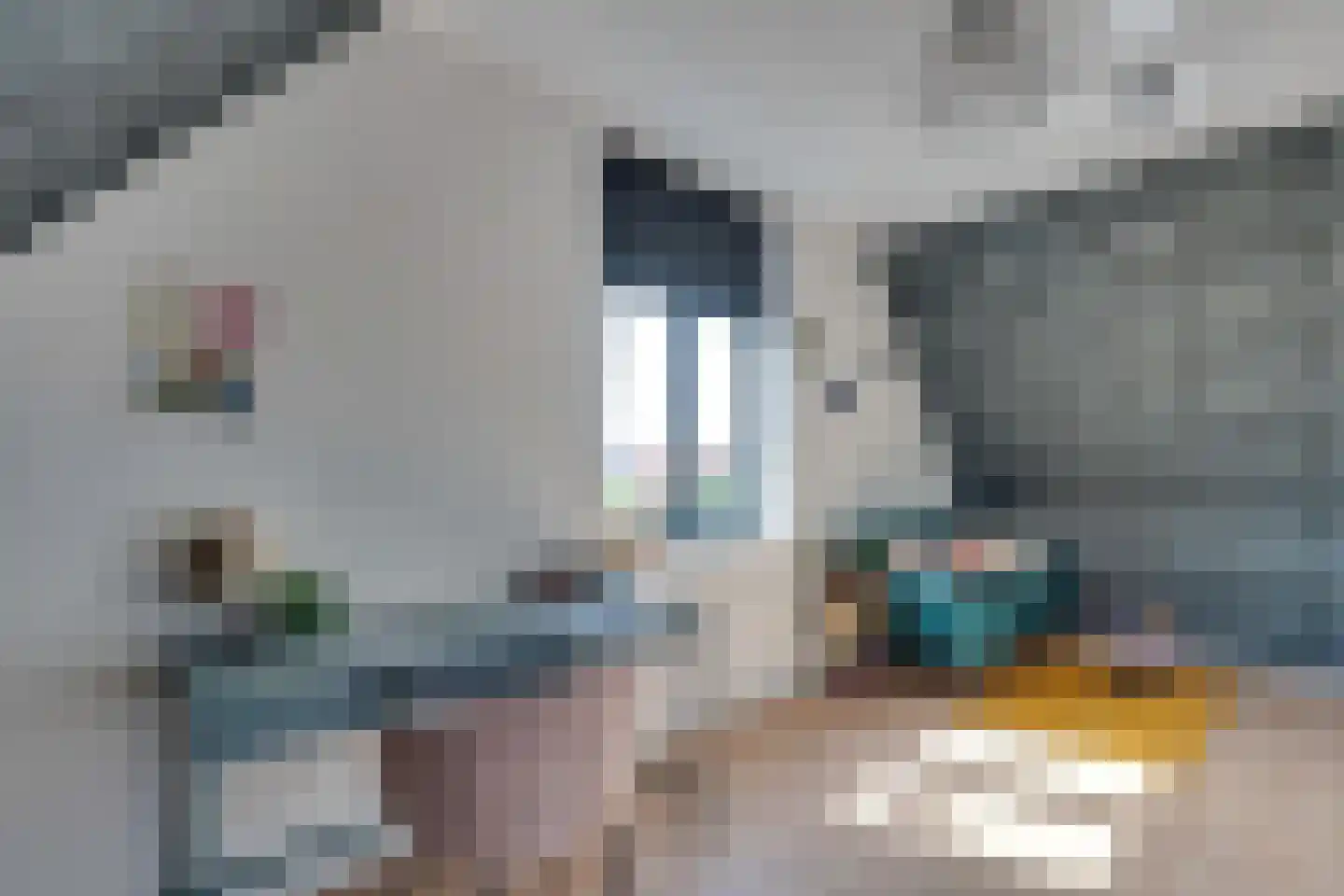 Vedelplein 22 Goes thumbnail 48