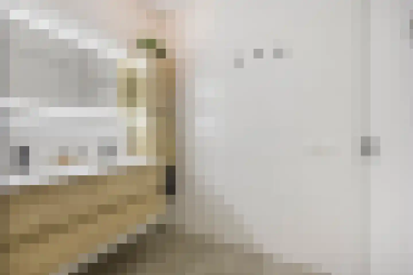 Vedelplein 28 Goes thumbnail 21