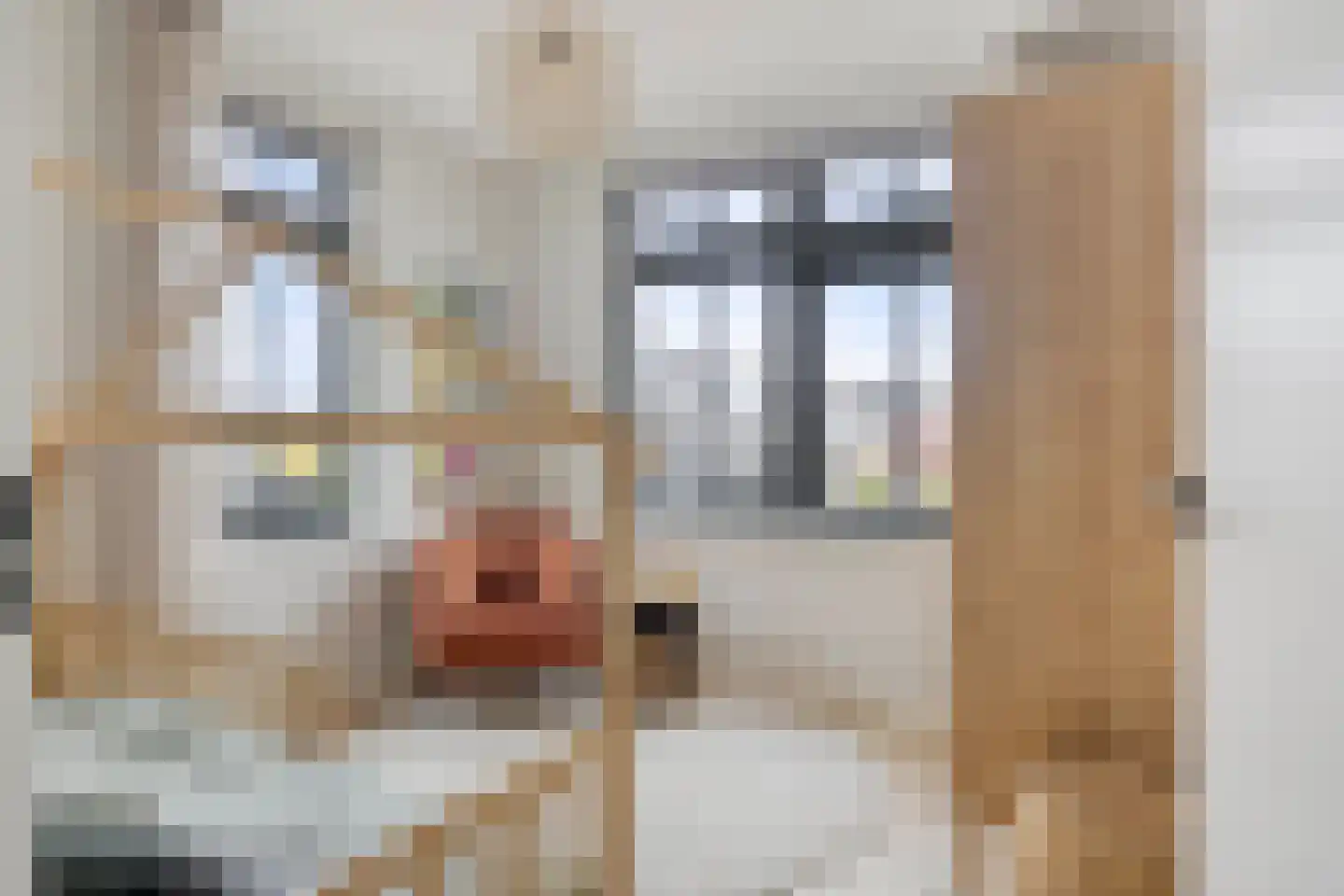 Vedelplein 28 Goes thumbnail 22
