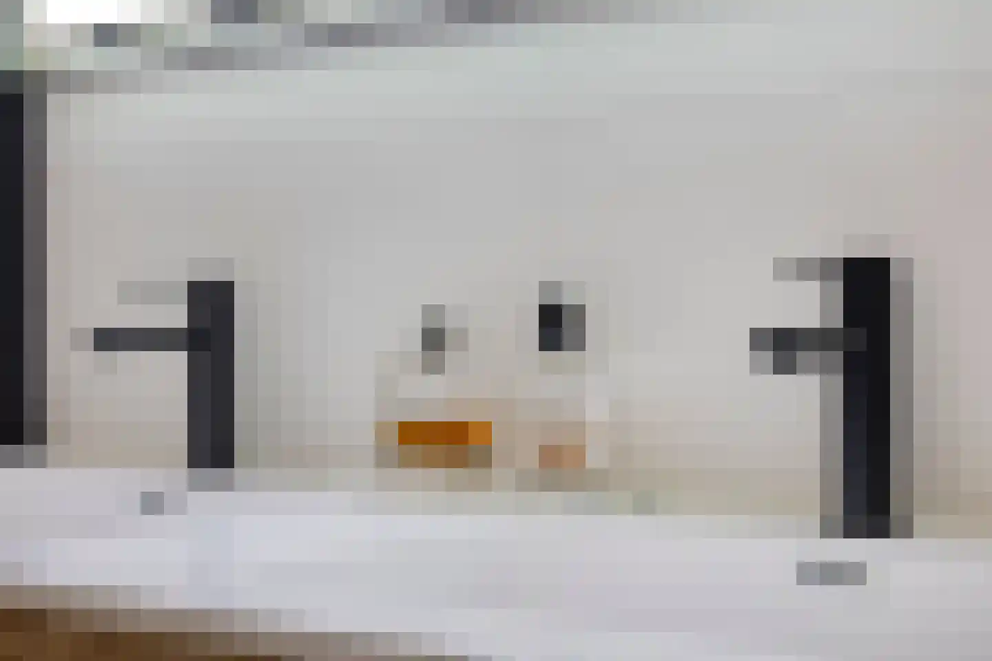 Vedelplein 28 Goes thumbnail 24