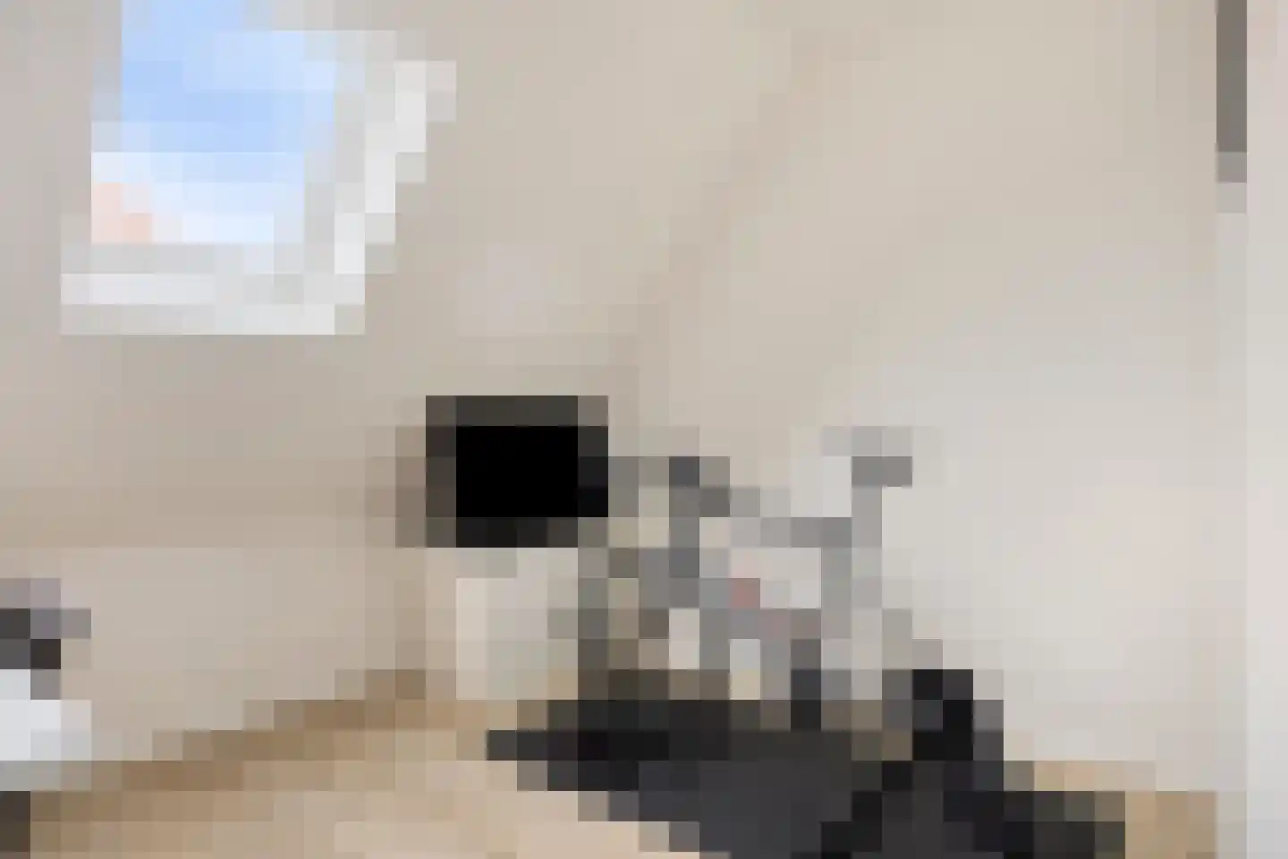 Vedelplein 28 Goes thumbnail 27