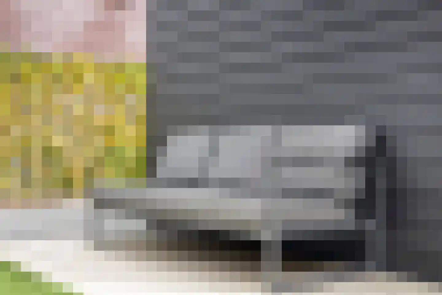 Vedelplein 28 Goes thumbnail 37