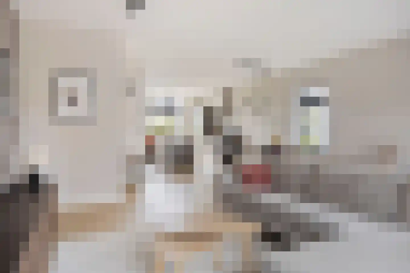 Vedelplein 28 Goes thumbnail 4