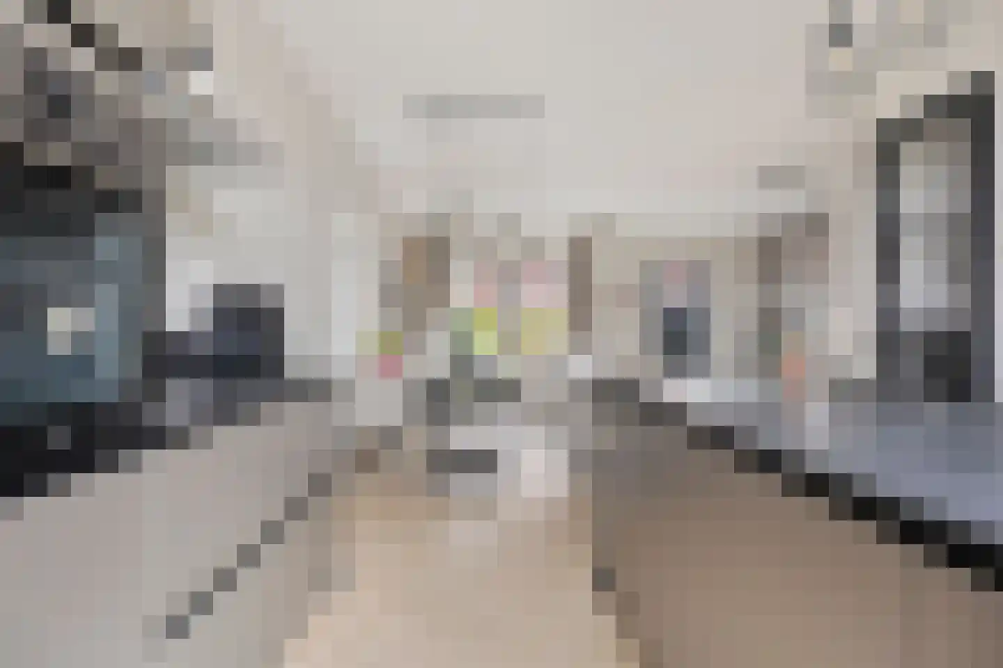 Vedelplein 28 Goes thumbnail 9