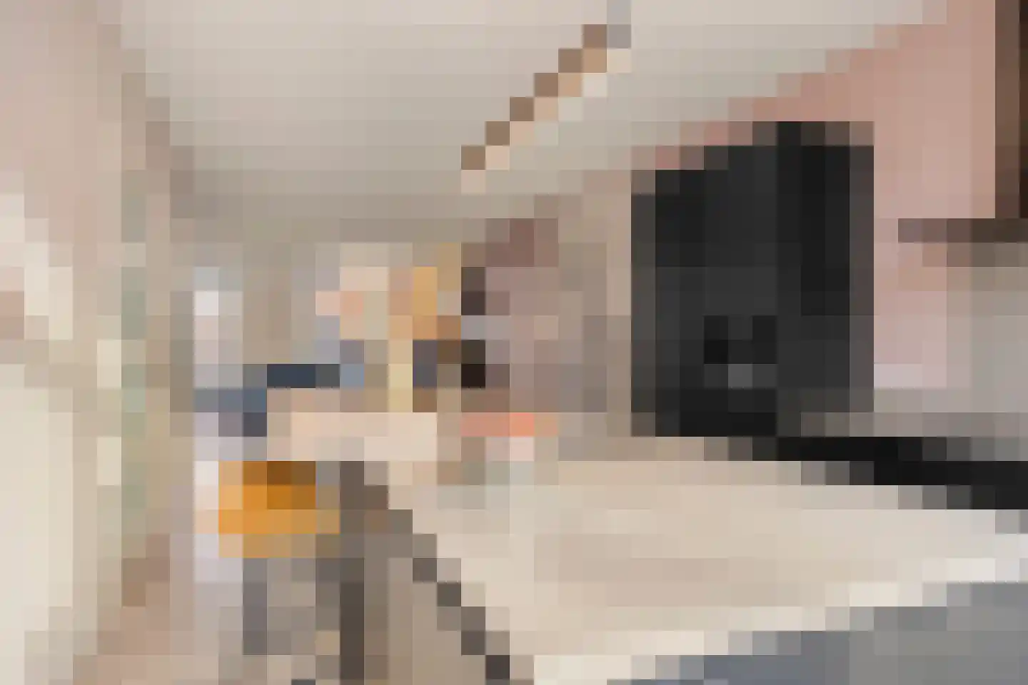 Vedelplein 32 Goes thumbnail 16