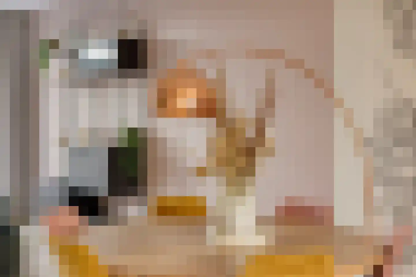 Vedelplein 32 Goes thumbnail 17