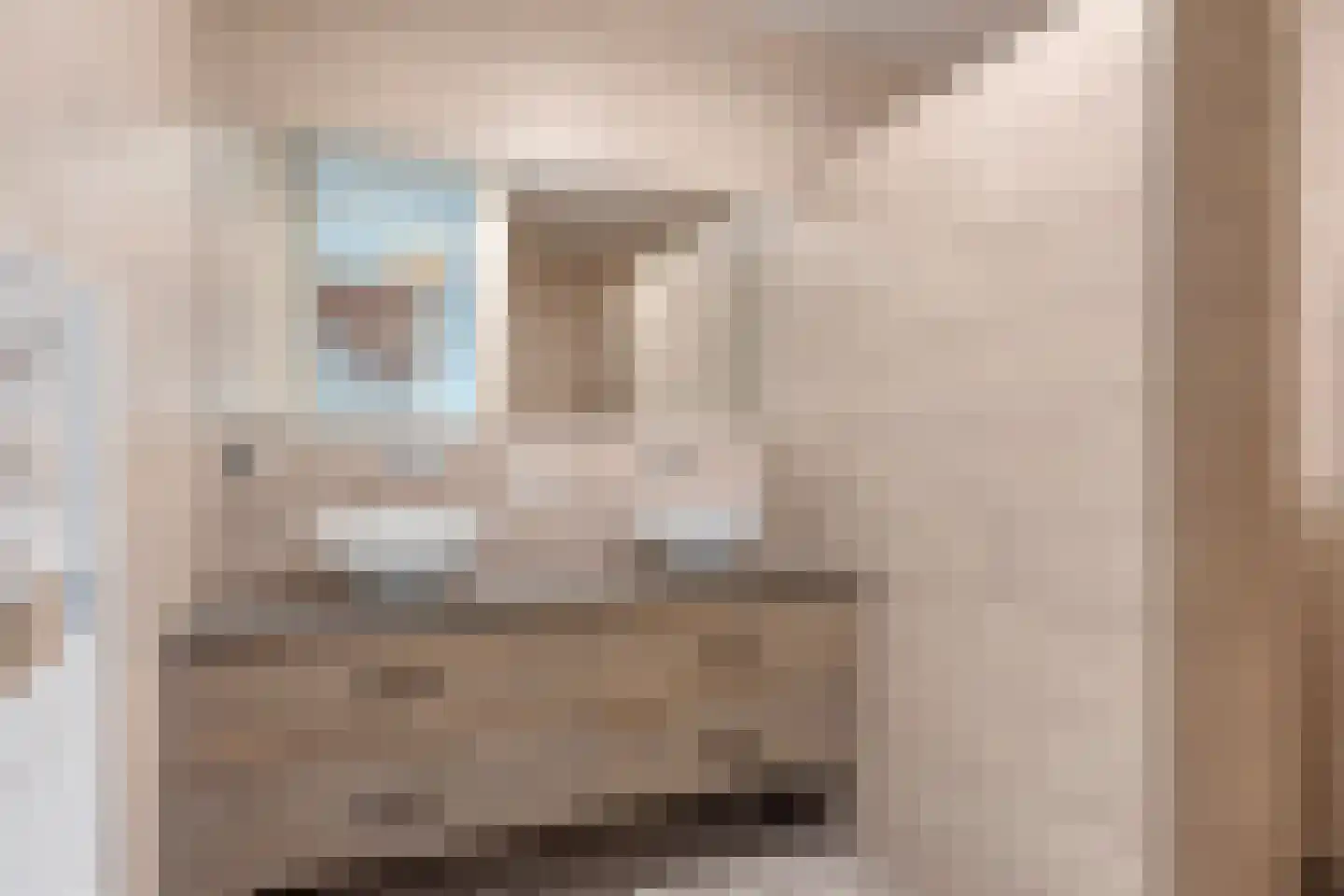 Vedelplein 32 Goes thumbnail 27