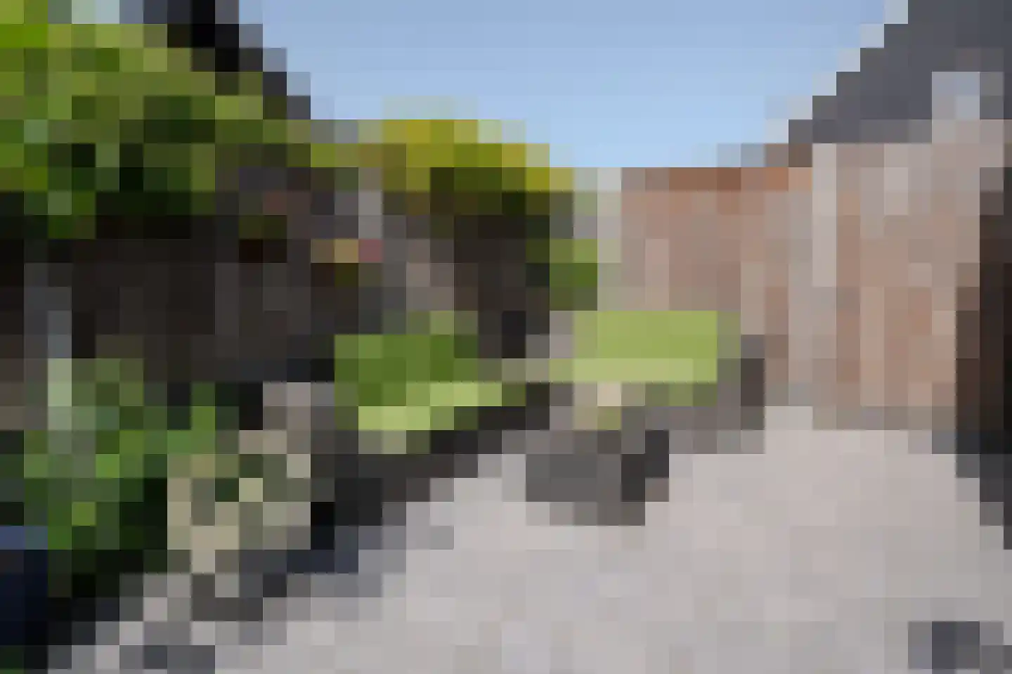 Vedelplein 32 Goes thumbnail 34