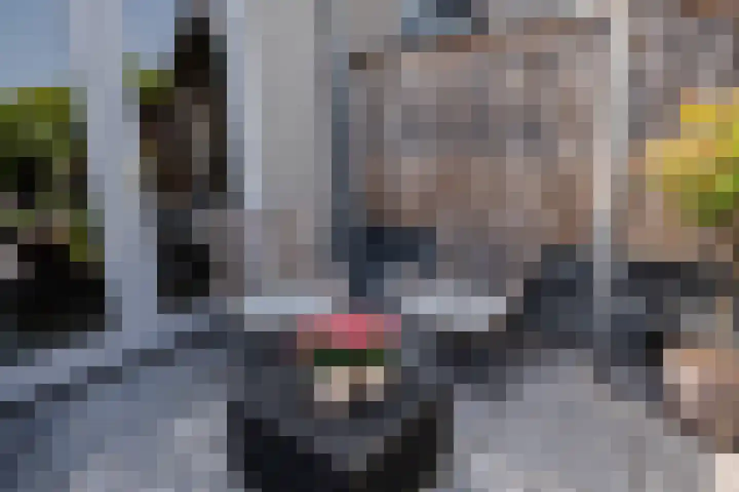 Vedelplein 32 Goes thumbnail 36