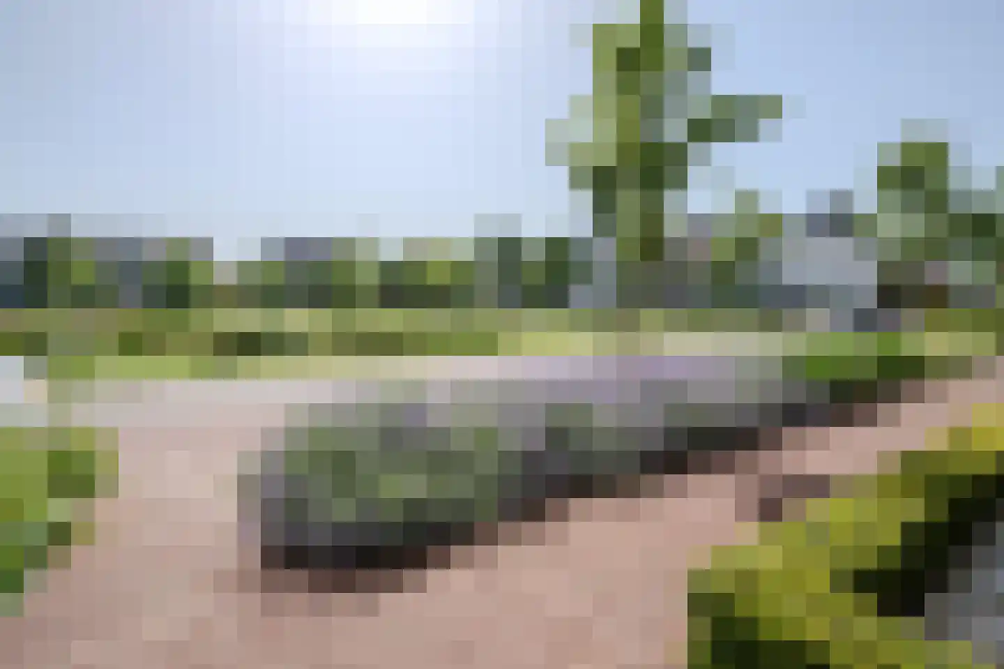 Vedelplein 32 Goes thumbnail 41